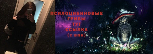 бошки Аркадак