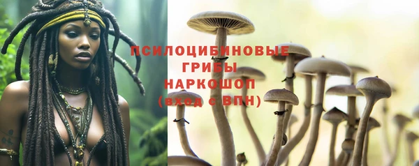 бошки Аркадак