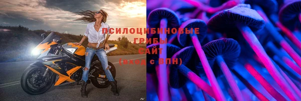 бошки Аркадак