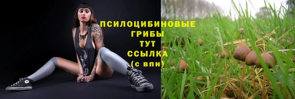 a pvp Балахна