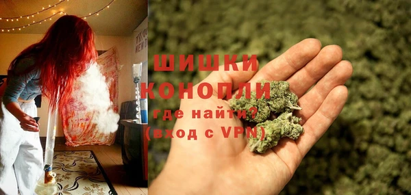 стаф Баксан