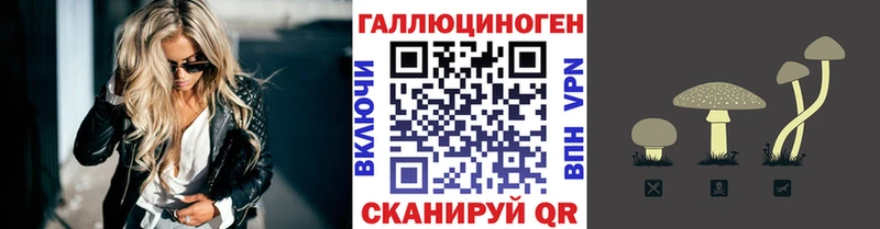 ОМГ ОМГ сайт  цены наркотик  Валдай  Псилоцибиновые грибы MAGIC MUSHROOMS 